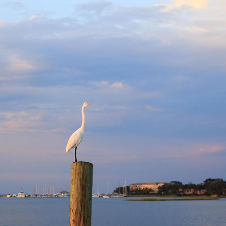 Stoney Creek Villa 299 Hilton Head Island Eksteriør bilde